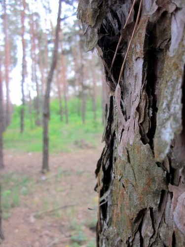 Возраст