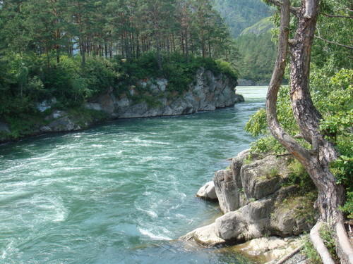 река Катунь