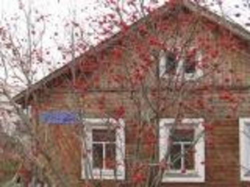 Рябиновые бусы