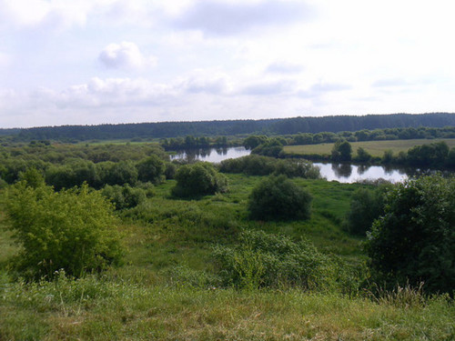 Родные просторы
