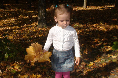 Осенний букет