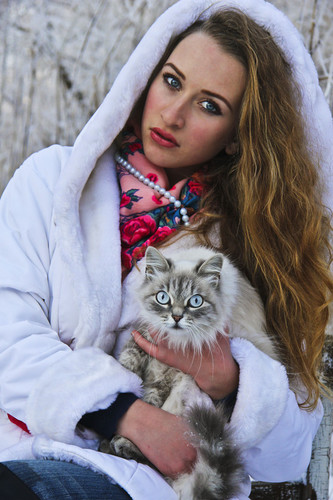 Le chat