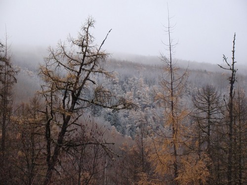 Безмолвие