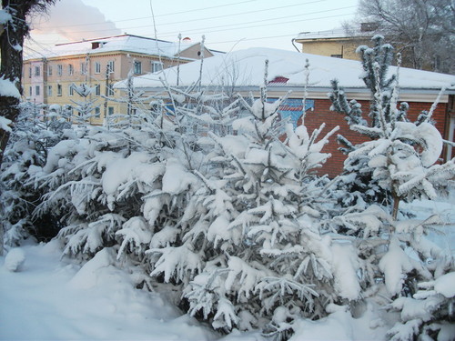 красавицы!