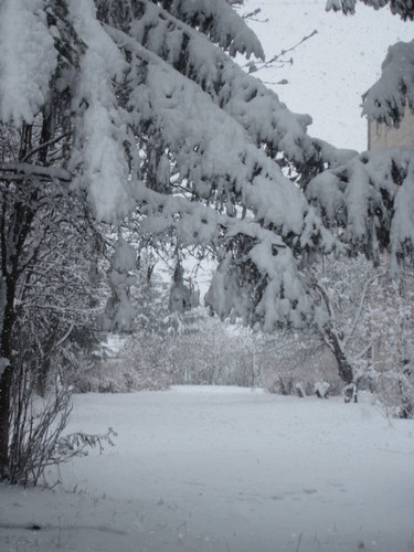 зимний сон