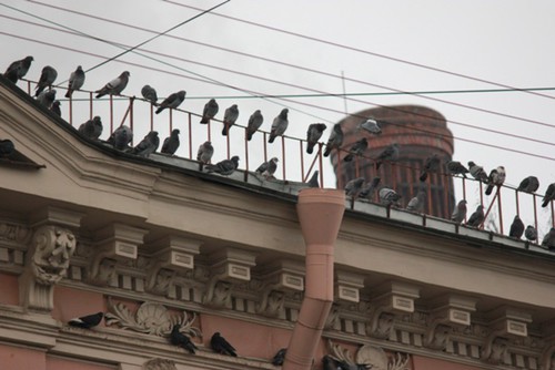 все по парам.