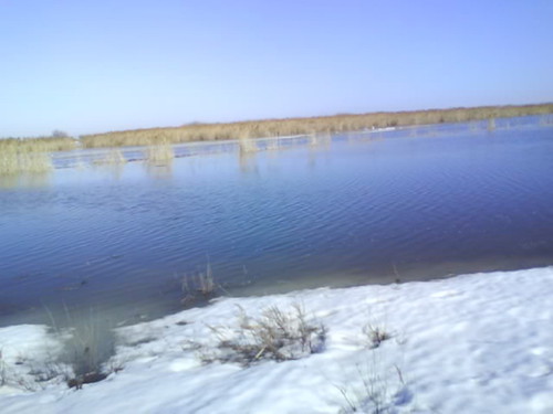 Речка Сафаровка