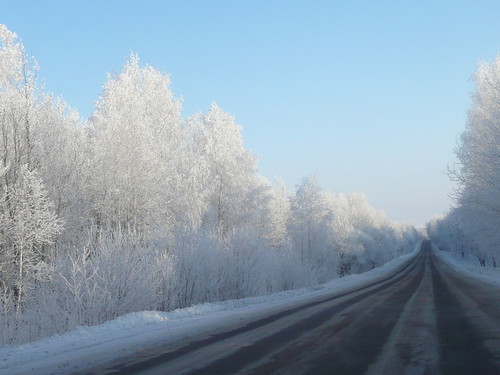 Зимняя дорога