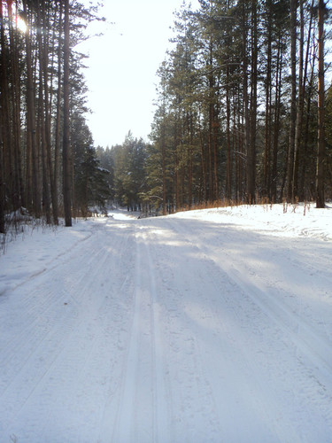 Зимняя дорога в виде лыжни