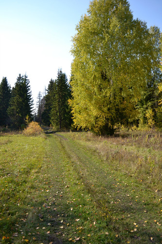 Дорога