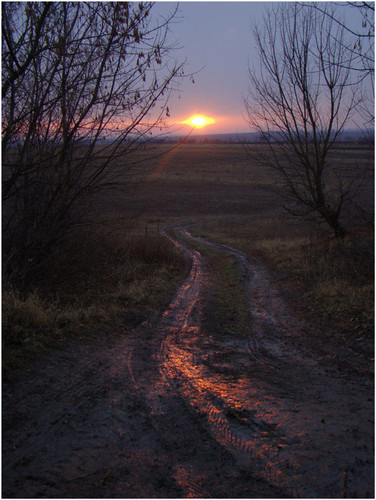 на закате)