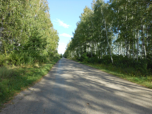 Дорога в зелени
