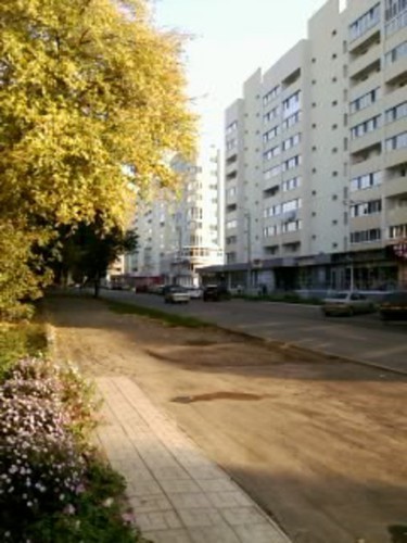 Дорога в осень
