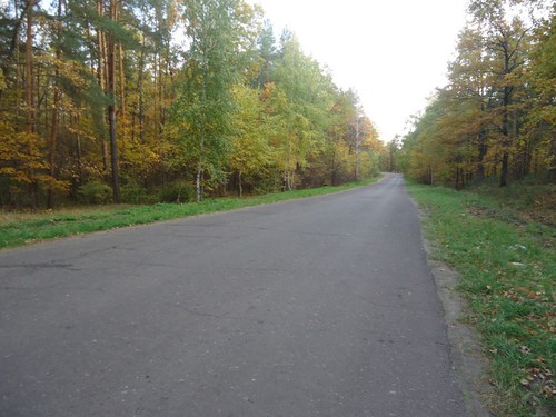 Осенняя дорога