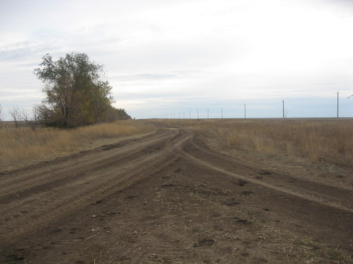 Дороги в засуху