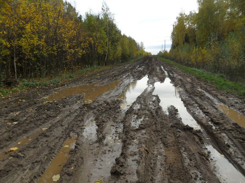 Дорога в деревню!