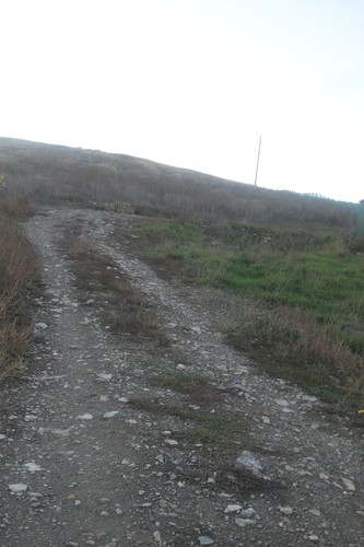 Дорога в засуху