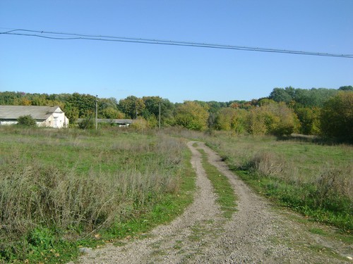 Дорога в лес