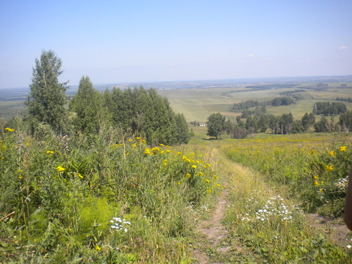 Мой край