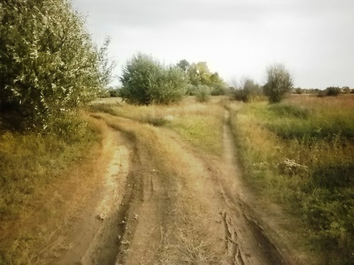 дорога в сказку