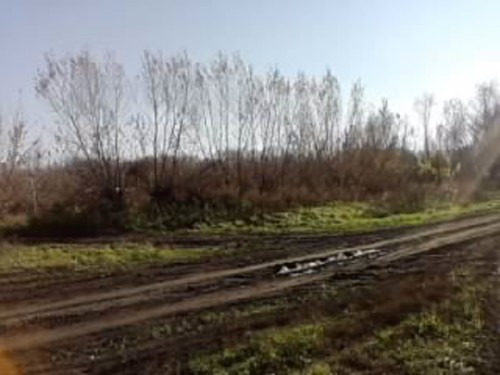 Дорога осенью