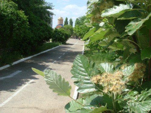 дорога к храму