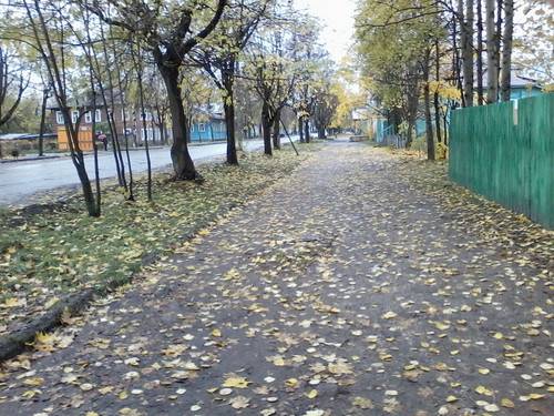 Хавронина София