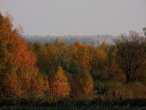 В осенней дымке