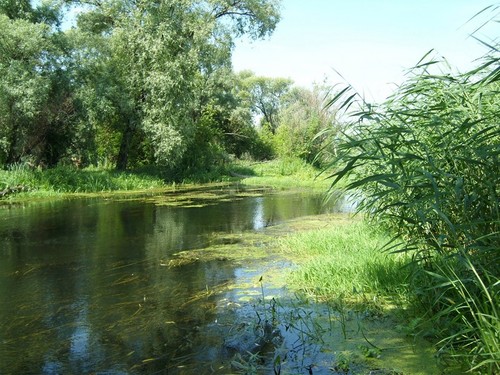 Перед рыбалкой