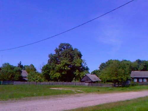Летний день.