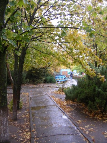осенний парк