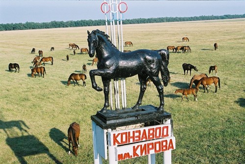 Легендарный Пепел