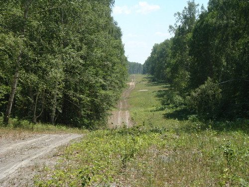 Дорога ведущая в даль