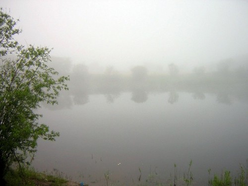 Ёжик в тумане