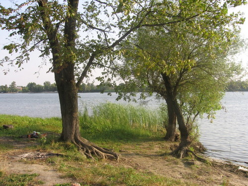 Река Дон