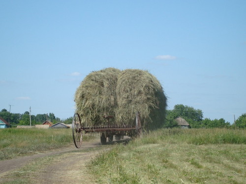 Лето, Ах Лето!