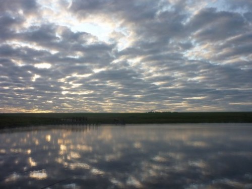 Река "Плотина"