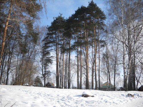 Моя Родина