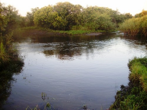  " кругом вода"