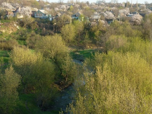 Родной город