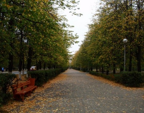 Осенняя пора