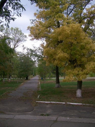 Осень