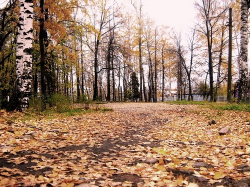 .Autumn.Rain.Melancholy.