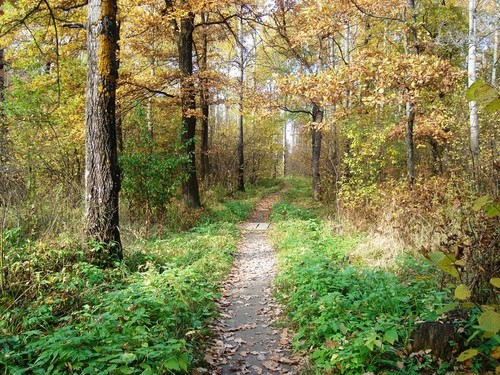 Село Шушково. Ростовская область