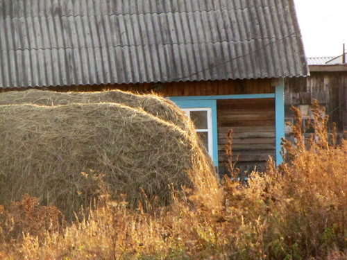 Домик в деревне