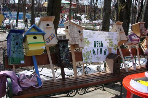 День птиц.
