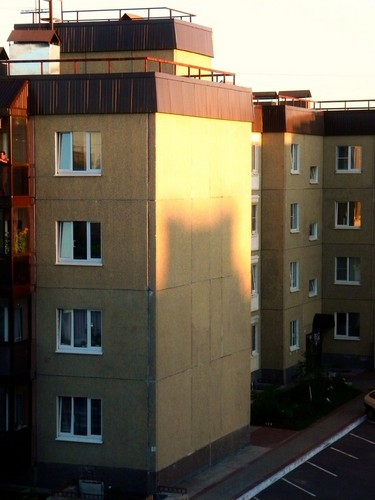 Тень в виде кота