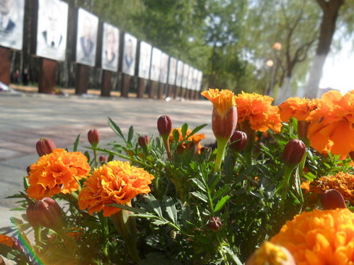 Аллея