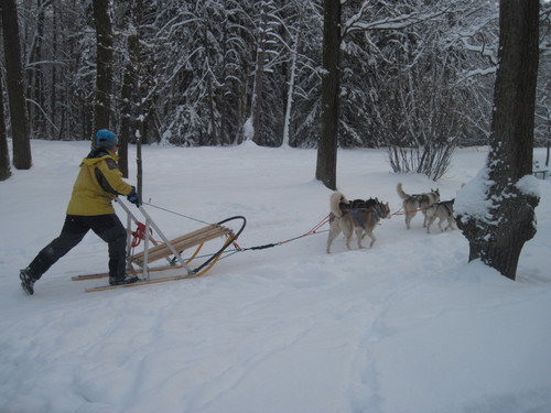 Прогулка
