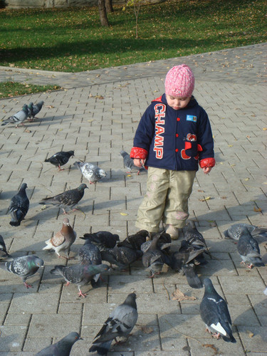 Все в сборе